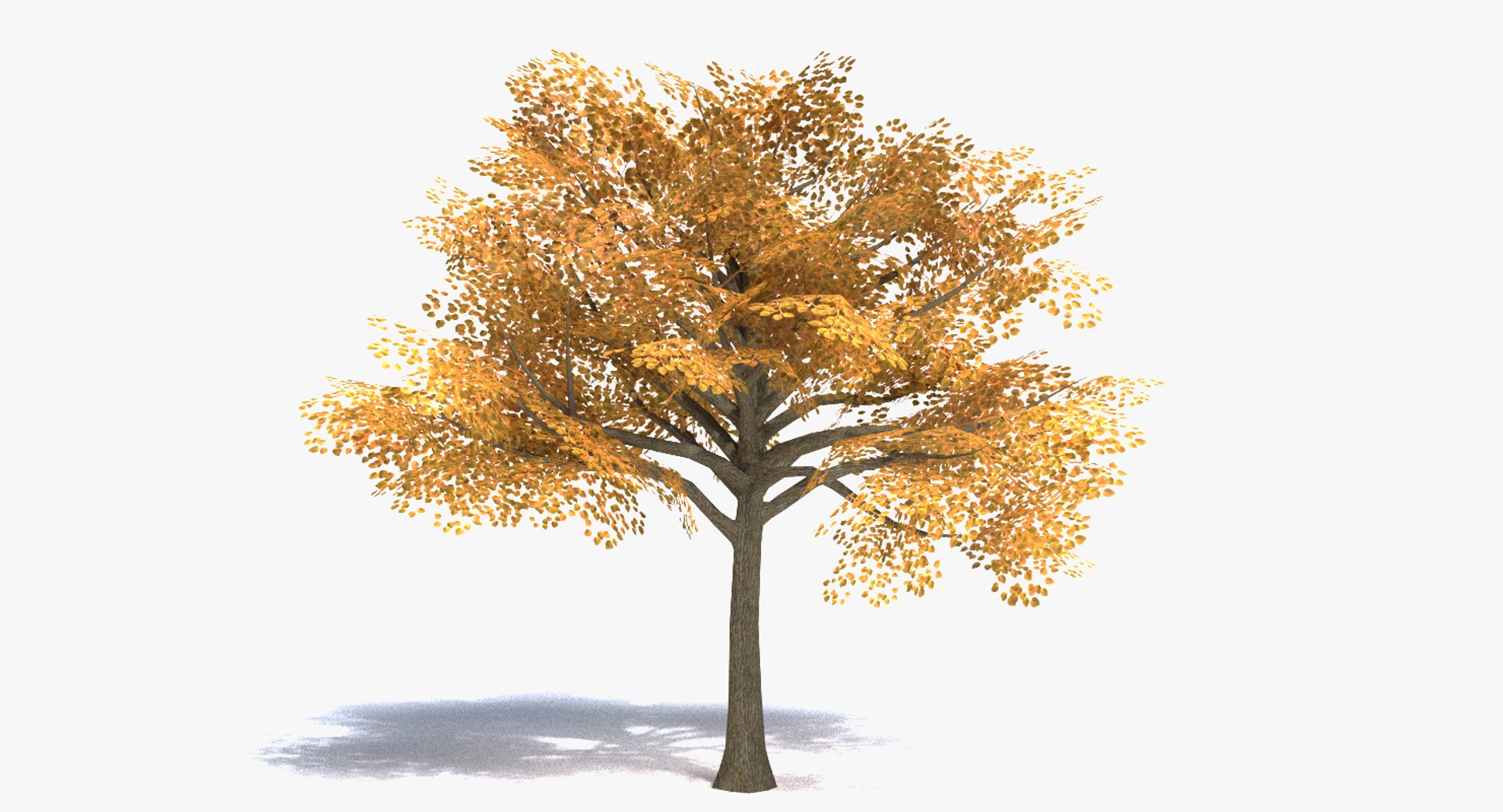 3ds max tree set polys https://p.turbosquid.com/ts-thumb/VX/vv410D/Pcg74FyF/thumbnail_fall/png/1442264776/1920x1080/fit_q87/be5608f26424f5b0f3a4b5bab8bf69e456d95cd6/thumbnail_fall.jpg
