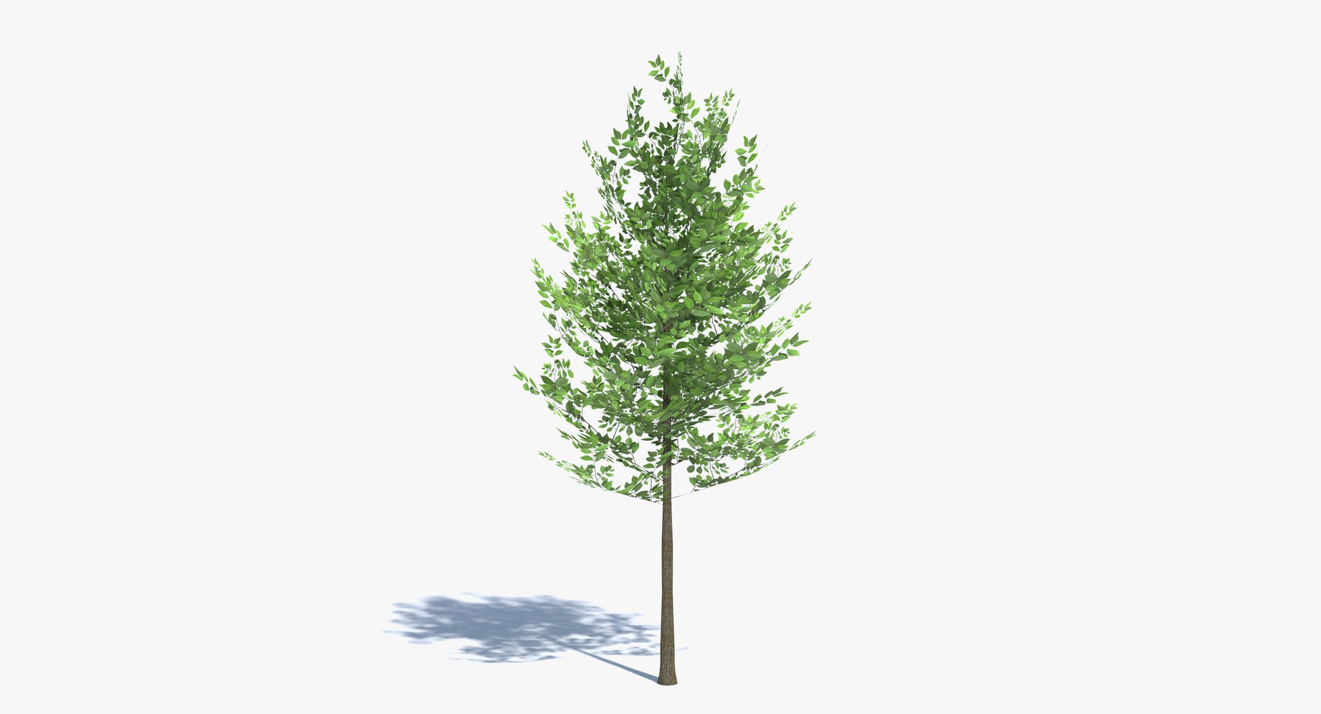 3ds max tree set polys https://p.turbosquid.com/ts-thumb/VX/vv410D/SDs4lvZq/thumbnail_1/png/1442264929/1920x1080/fit_q87/a4a7ff7aed620c35b6c80408c8cffe9be6b98211/thumbnail_1.jpg