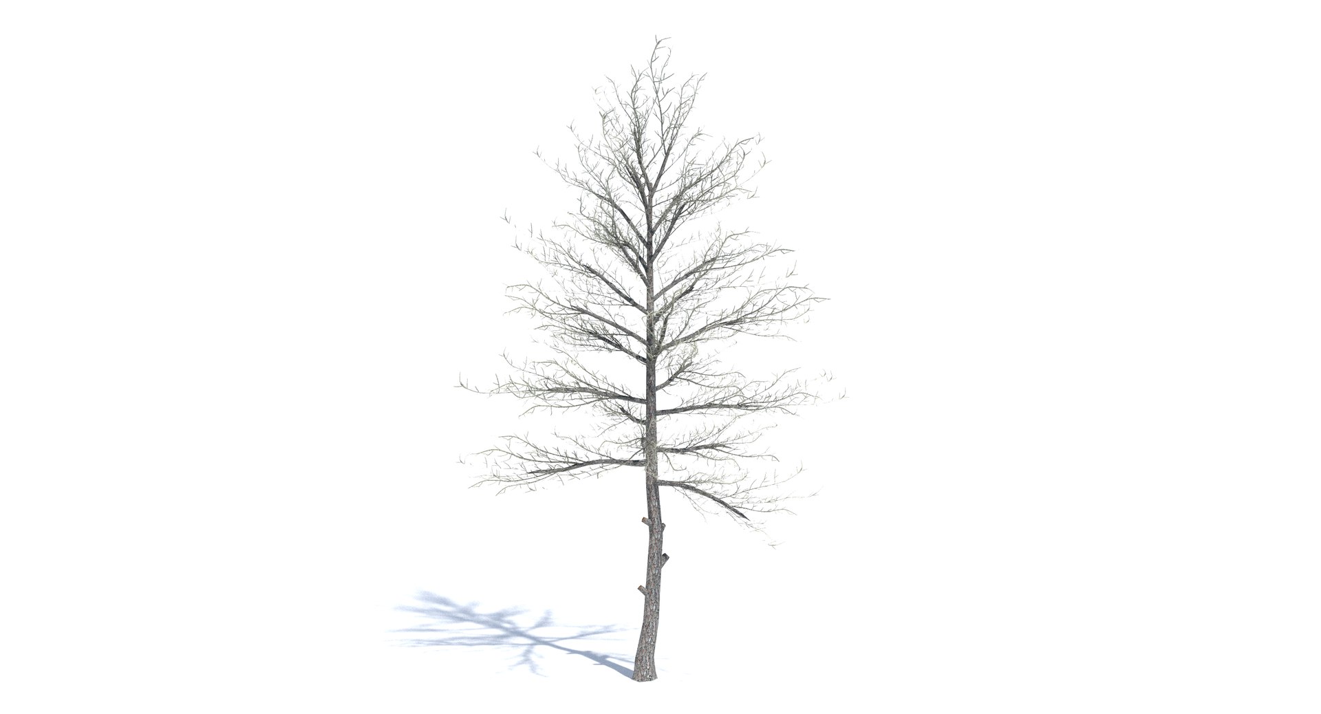 3ds max tree set polys https://p.turbosquid.com/ts-thumb/VX/vv410D/UQgXkdcY/thumbnail_bare/png/1442264850/1920x1080/fit_q87/b23cc1c30cf6b0e8556bc3b2c6fd7ae0ce42cde3/thumbnail_bare.jpg