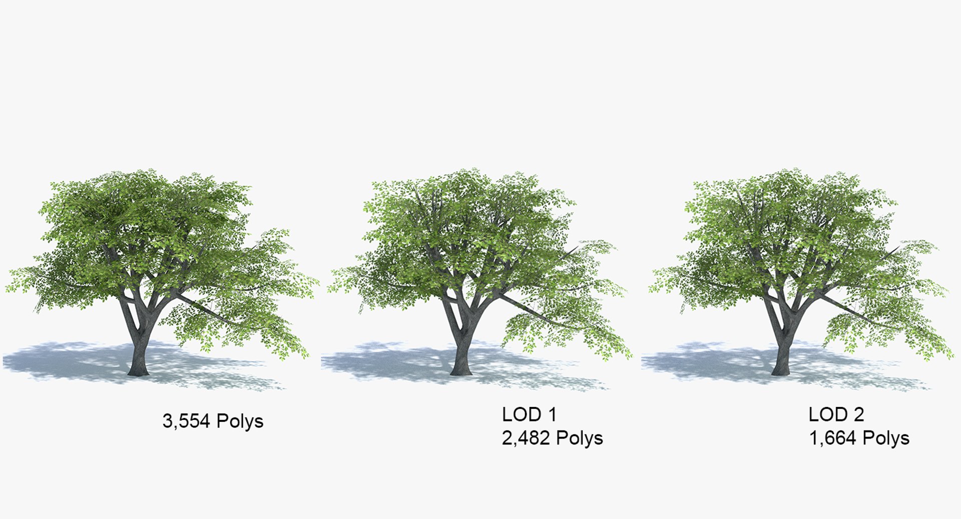 3ds max tree set polys https://p.turbosquid.com/ts-thumb/VX/vv410D/YyvboMW0/polys/png/1442264747/1920x1080/fit_q87/054427064c75c6988c8a118bf0383e89de81d42c/polys.jpg