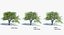 Ensemble d'arbres Low Poly