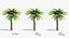 Ensemble d'arbres Low Poly