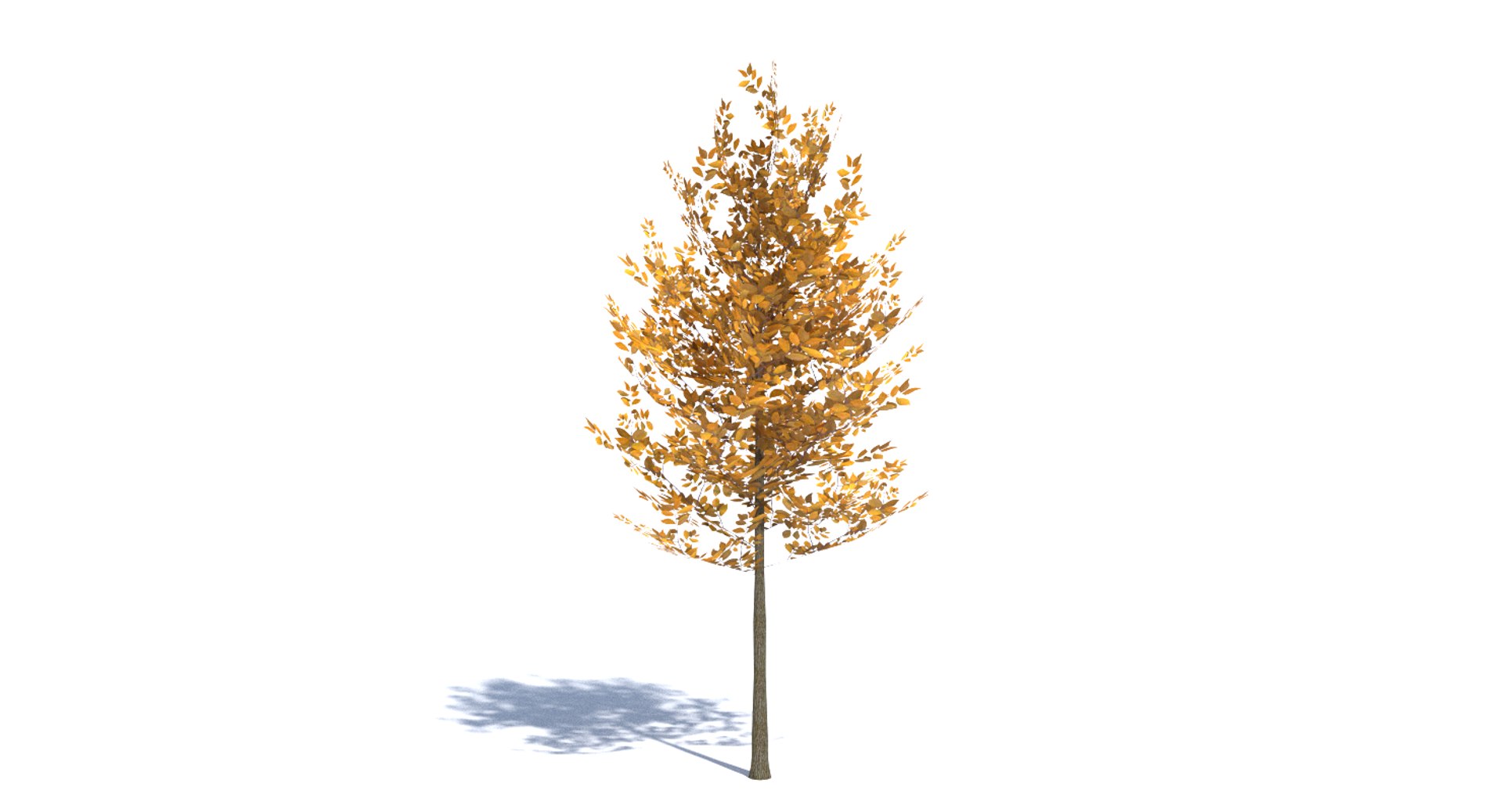 3ds max tree set polys https://p.turbosquid.com/ts-thumb/VX/vv410D/Zps1FSZZ/thumbnail_fall/png/1442264929/1920x1080/fit_q87/154f7e8471fd1b6beb7701ebe424c5cde82ff3e9/thumbnail_fall.jpg