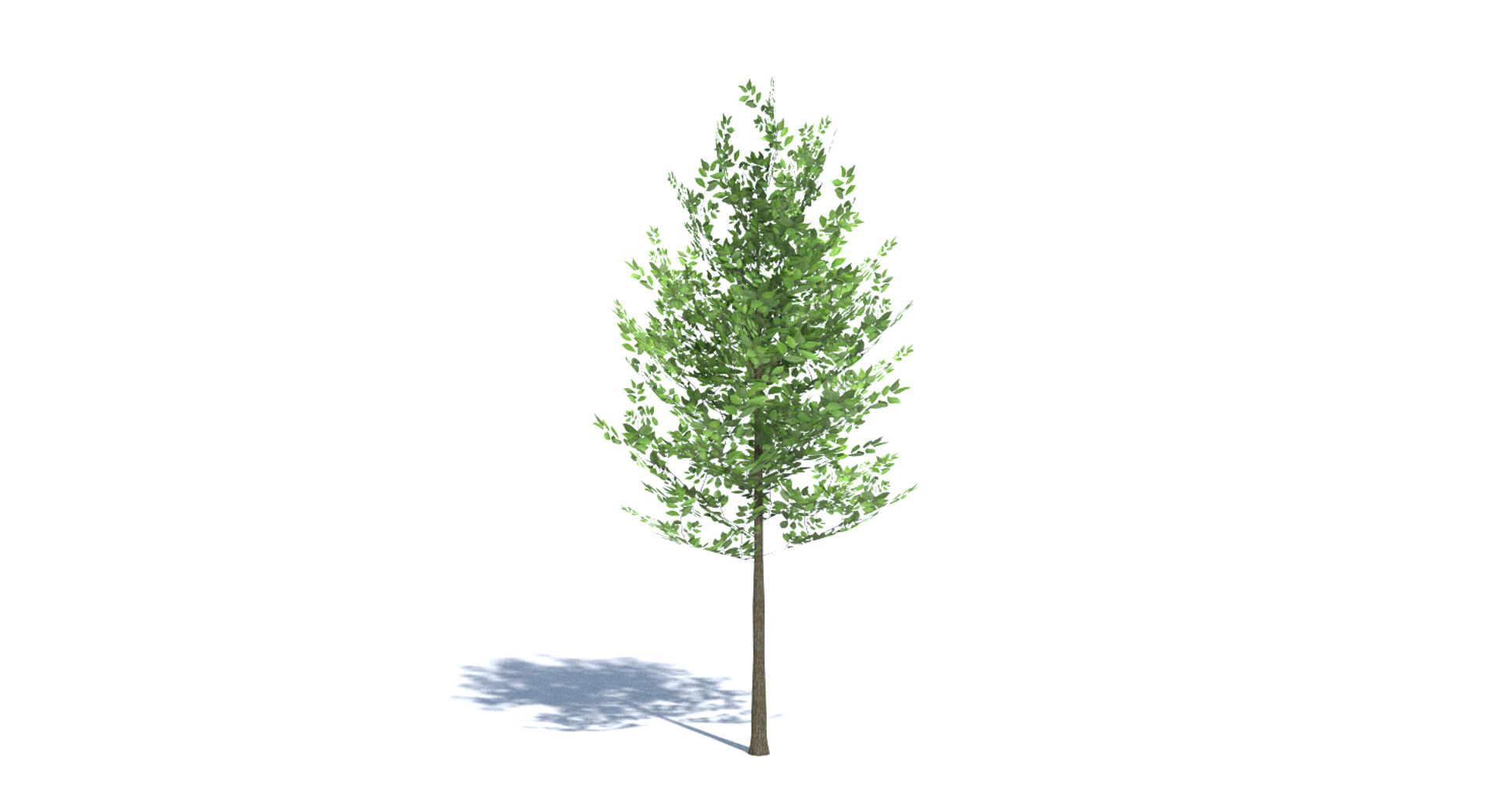 3ds max tree set polys https://p.turbosquid.com/ts-thumb/VX/vv410D/bZttrFvN/images/png/1442265485/1920x1080/turn_fit_q99/e8a6e6595c234ad2dbd51a0c9e2817c56ab218b9/images-1.jpg