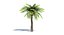 Ensemble d'arbres Low Poly