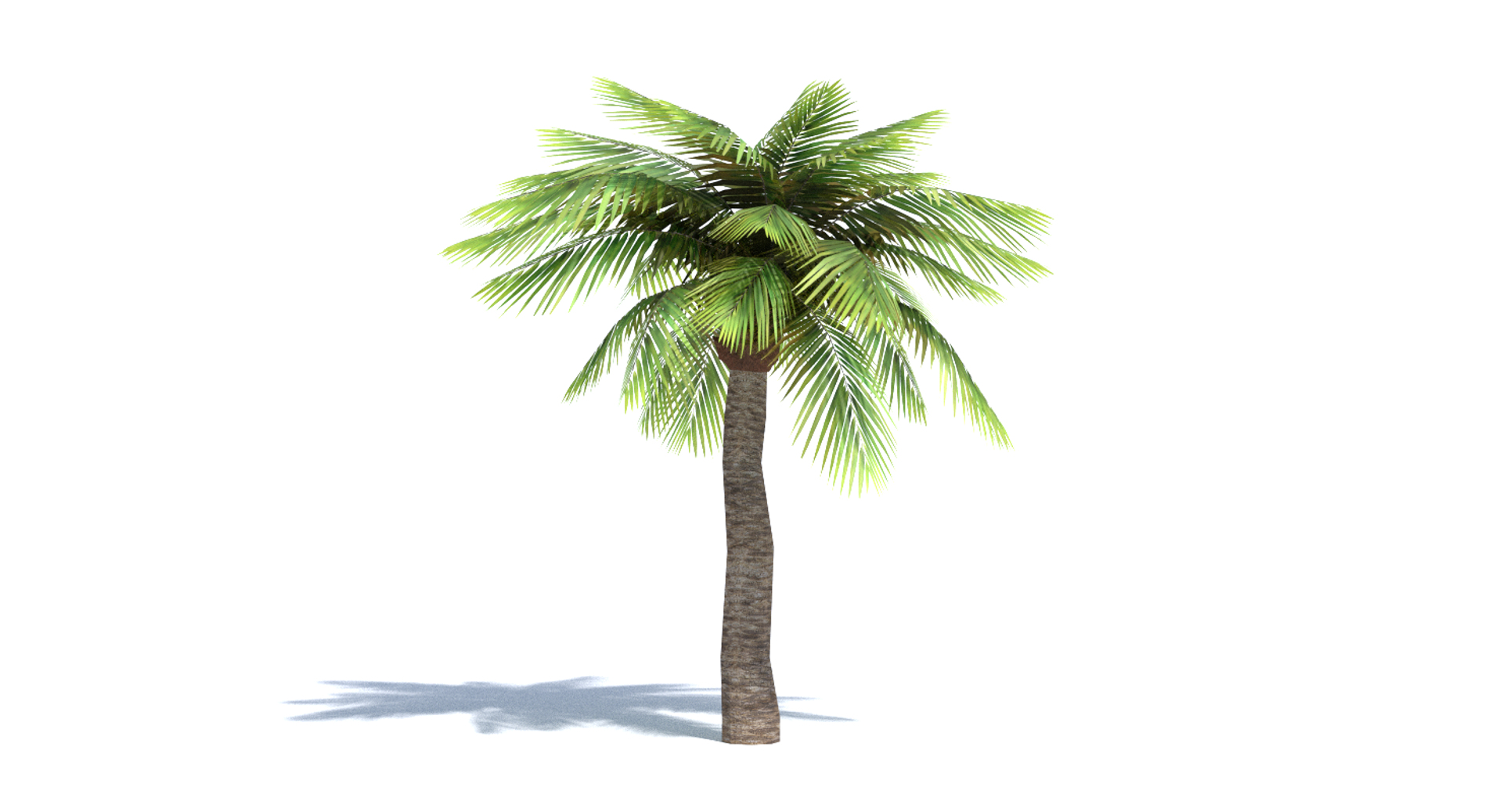 3ds max tree set polys https://p.turbosquid.com/ts-thumb/VX/vv410D/dNZum6Y2/images/png/1442265182/1920x1080/turn_fit_q99/df0dd7b4ba8970fdcba0d18f29af1429299cf5cc/images-1.jpg