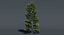 Ensemble d'arbres Low Poly