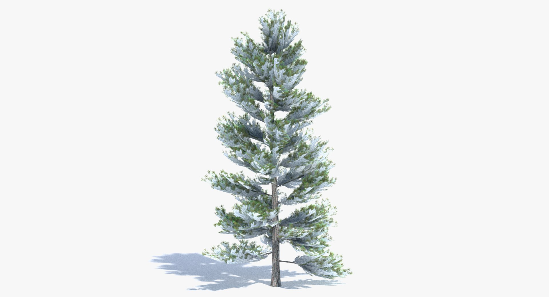 3ds max tree set polys https://p.turbosquid.com/ts-thumb/VX/vv410D/feDR2PnX/thumbnail_winter/png/1442264881/1920x1080/fit_q87/a83d5c6b6de97058ae599ace12033b0512c7b4f1/thumbnail_winter.jpg