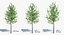 Ensemble d'arbres Low Poly