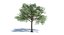 Ensemble d'arbres Low Poly