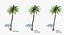 Ensemble d'arbres Low Poly