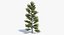Ensemble d'arbres Low Poly