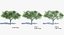 Ensemble d'arbres Low Poly