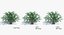 Ensemble d'arbres Low Poly