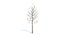 Ensemble d'arbres Low Poly
