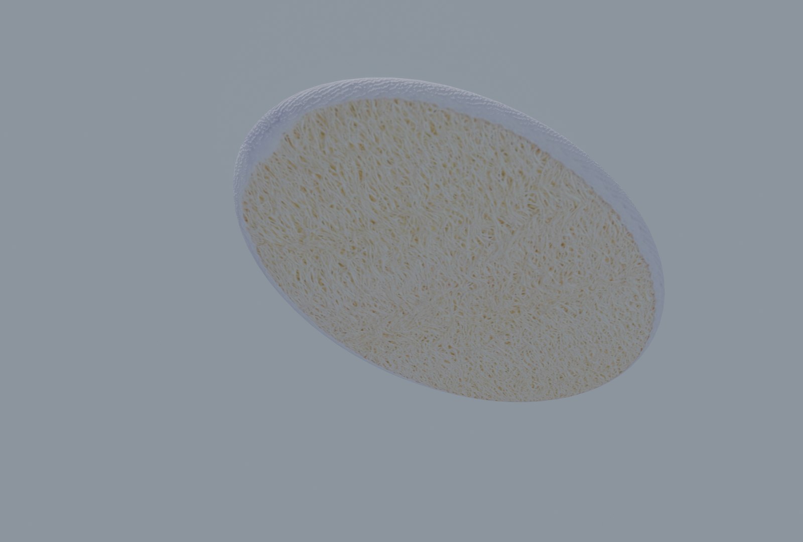 Bath Sponge Model - TurboSquid 2197413