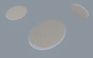 Bath Sponge