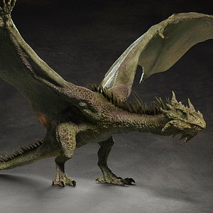Dragon Lizard Creature