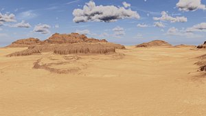 Desert and gobi wind-eroded yadanscape 3D model