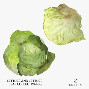 3D Lettuce and Lettuce Leaf Collection 06 - 2 models