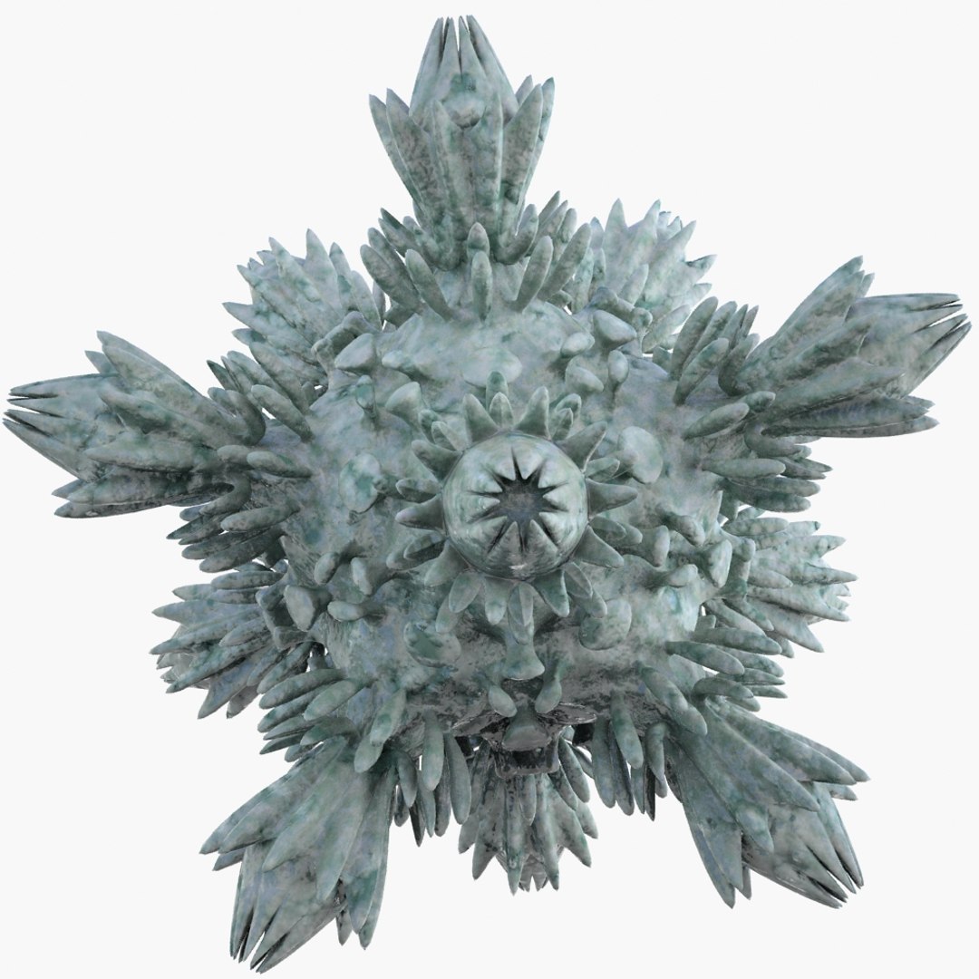 3d Model Micro Object Mht