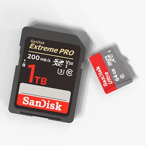 3D model SD Cards