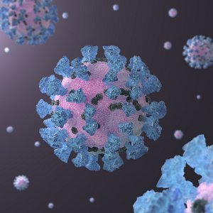 Coronavirus 2019-nCoV SARS-CoV-2