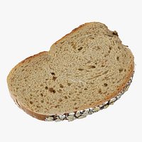 A Slice Of Oatmeal Bread - Raw Scan