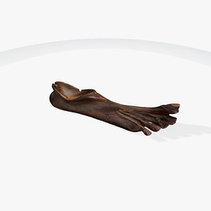 Cuban Foot 3D model
