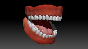 Jaw with teeth lowPoly and hiPoly 3D model