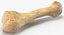 Human Arm Hand Foot и Scapula Bones Collection Yellow - 25 моделей