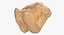 Human Arm Hand Foot и Scapula Bones Collection Yellow - 25 моделей