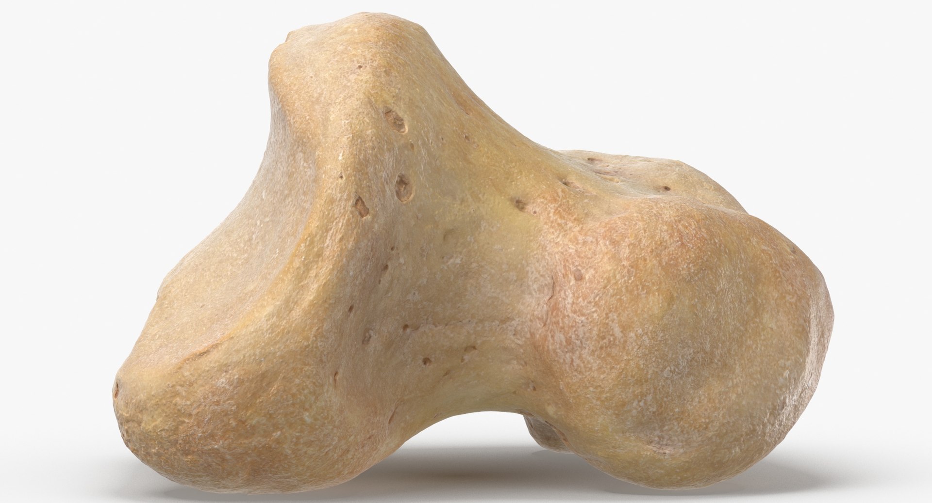 Human Arm Hand Foot and Scapula Bones Collection Yellow - 25 models 3D model https://p.turbosquid.com/ts-thumb/VY/tZPziN/AC/middle_phalanx_bone_of_little_toe_01_thumbnail_0006/jpg/1626264121/1920x1080/fit_q87/4223c509815c3e20269bd47c2f939406f04dba2e/middle_phalanx_bone_of_little_toe_01_thumbnail_0006.jpg