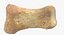Human Arm Hand Foot и Scapula Bones Collection Yellow - 25 моделей