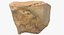 Human Arm Hand Foot и Scapula Bones Collection Yellow - 25 моделей