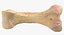 Human Arm Hand Foot и Scapula Bones Collection Yellow - 25 моделей