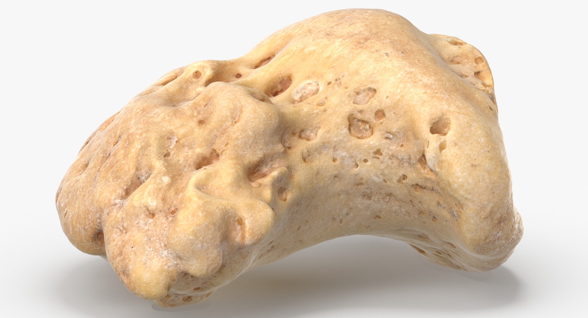 Human Arm Hand Foot and Scapula Bones Collection Yellow - 25 models 3D model https://p.turbosquid.com/ts-thumb/VY/tZPziN/hb/distal_phalanx_bone_of_little_toe_01_thumbnail_0006/jpg/1626264117/1920x1080/fit_q87/05b8e10e9c21417ff967e03875fc5d403d36b086/distal_phalanx_bone_of_little_toe_01_thumbnail_0006.jpg
