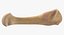 Human Arm Hand Foot и Scapula Bones Collection Yellow - 25 моделей