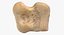 Human Arm Hand Foot и Scapula Bones Collection Yellow - 25 моделей