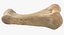 Human Arm Hand Foot и Scapula Bones Collection Yellow - 25 моделей