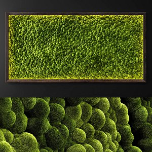Moss wall 2