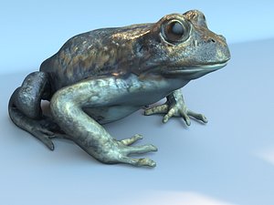 3d model frog