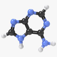 adenine