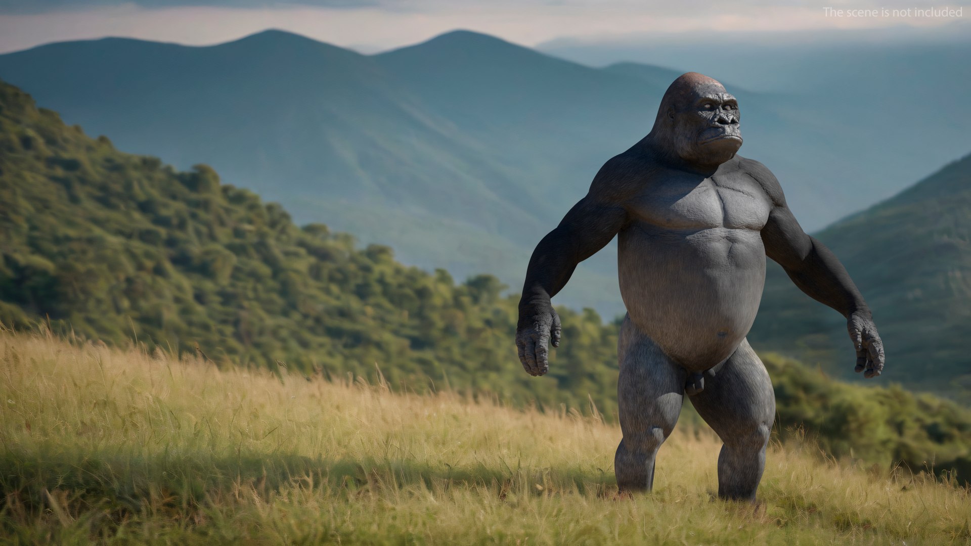 Western Gorilla Rigged for Cinema 4D 3D model preview