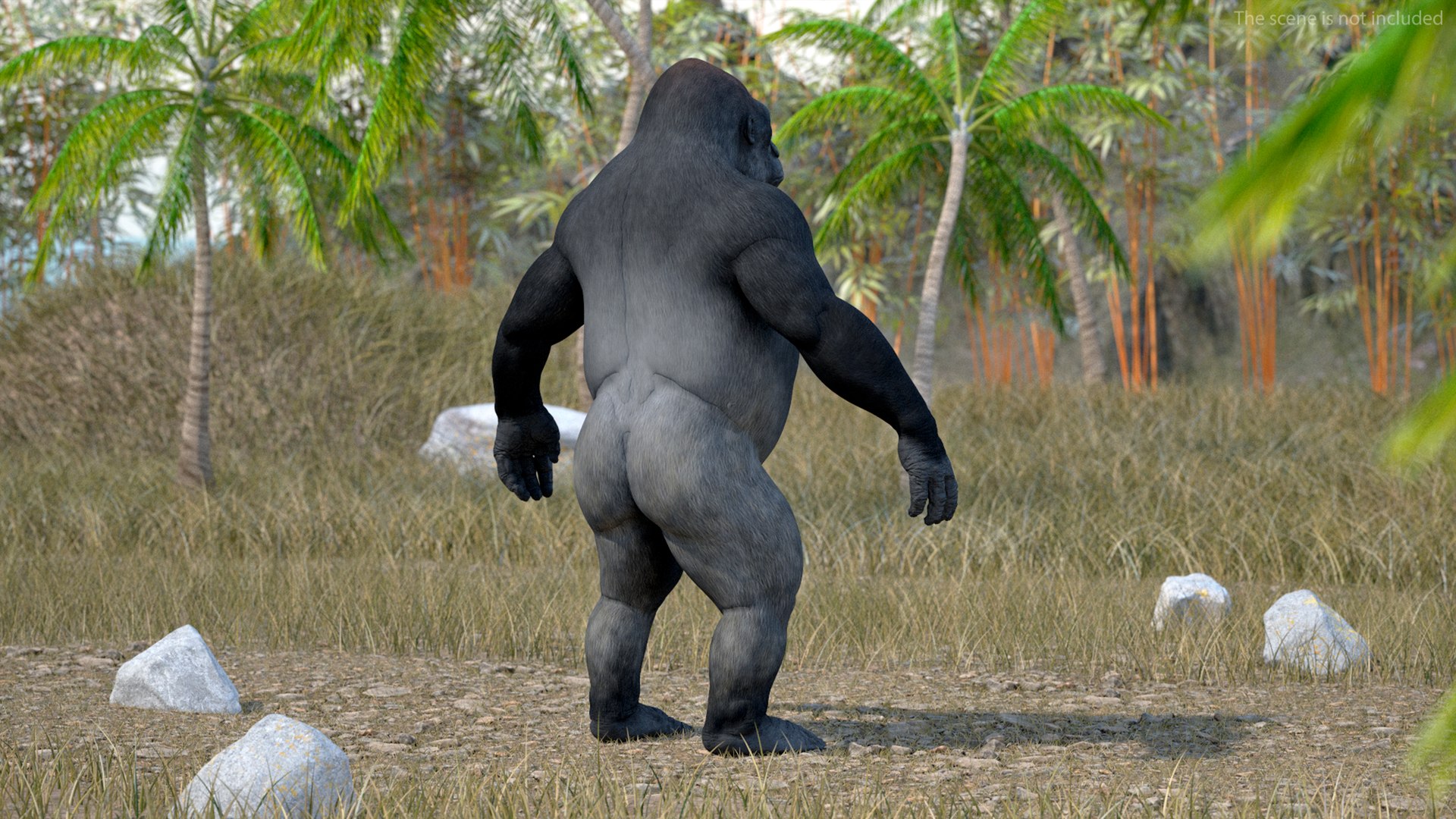 3D model Western Gorilla Rigged for Cinema 4D https://p.turbosquid.com/ts-thumb/VZ/HQcsJ9/8L/westerngorillariggedforcinema4d3dmodel012/jpg/1727732168/1920x1080/fit_q87/b9527ea2be3e3aad8c1bf154067991c81a5a399c/westerngorillariggedforcinema4d3dmodel012.jpg