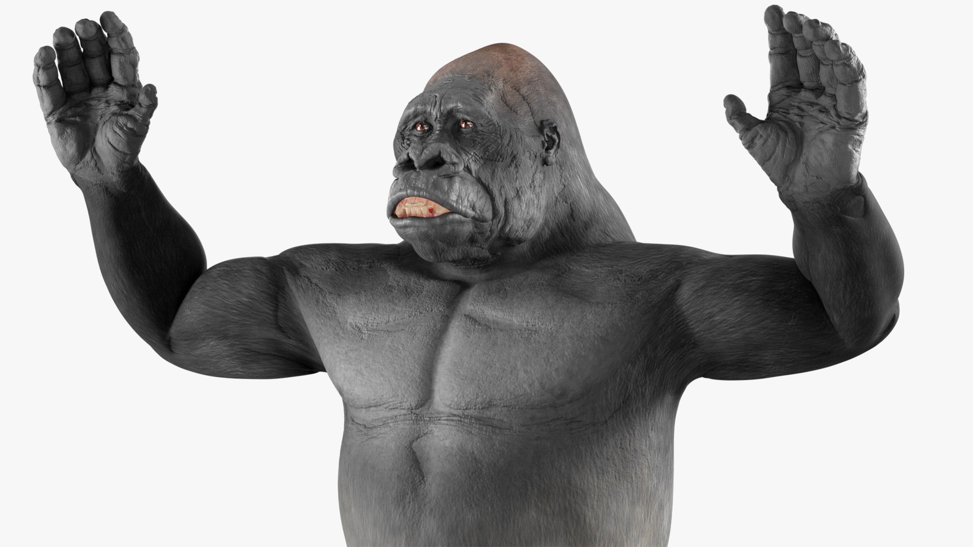 3D model Western Gorilla Rigged for Cinema 4D https://p.turbosquid.com/ts-thumb/VZ/HQcsJ9/Sm/westerngorillariggedforcinema4d3dmodel023/jpg/1727732230/1920x1080/fit_q87/7a0b03439ce789e677cdc7dc1aa45aac89aca890/westerngorillariggedforcinema4d3dmodel023.jpg