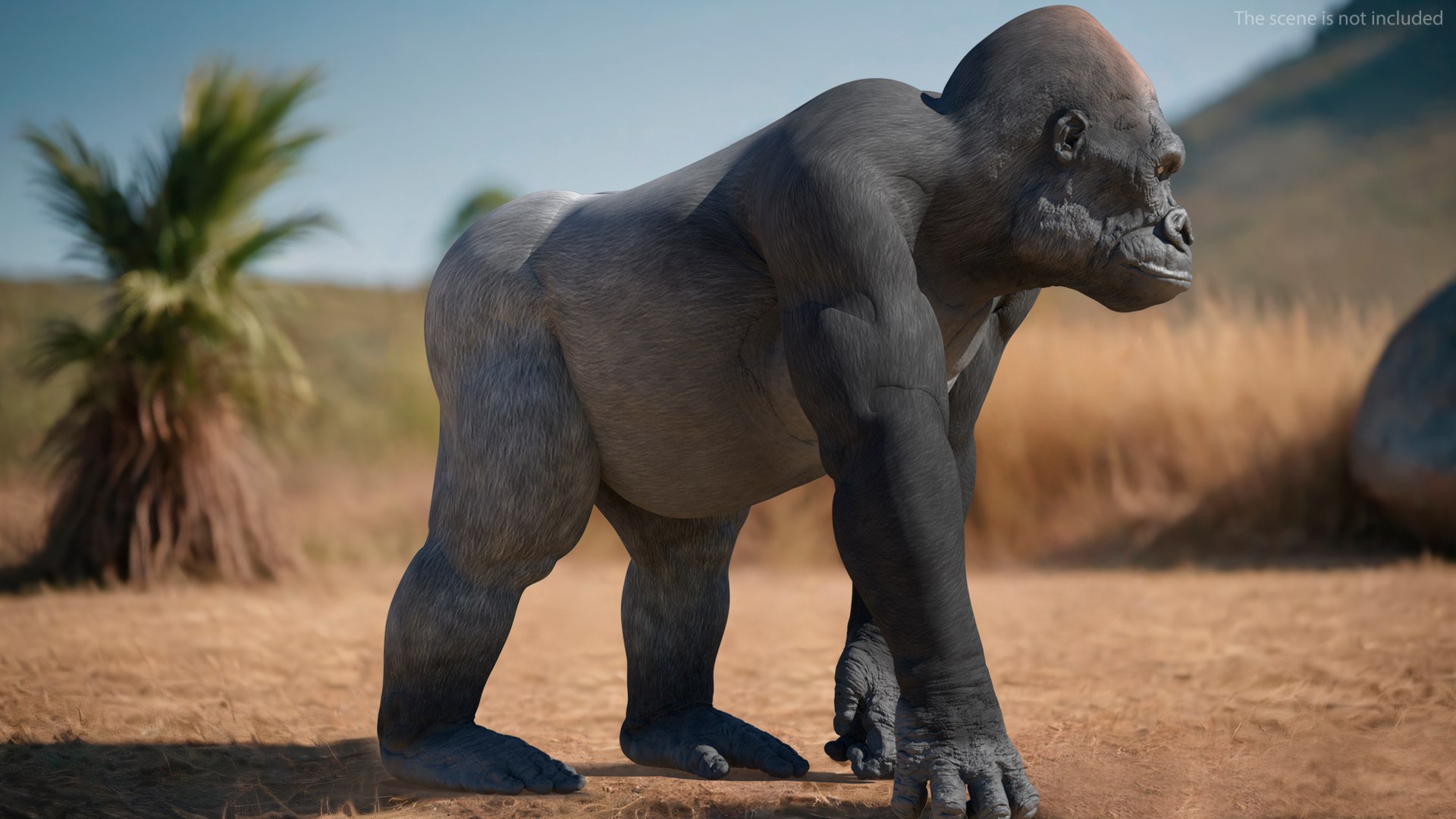 3D model Western Gorilla Rigged for Cinema 4D https://p.turbosquid.com/ts-thumb/VZ/HQcsJ9/fh/westerngorillariggedforcinema4d3dmodel006/jpg/1727732121/1920x1080/fit_q87/7bb49c8ab63a503fce657cd3dd99fb34f8886ce7/westerngorillariggedforcinema4d3dmodel006.jpg