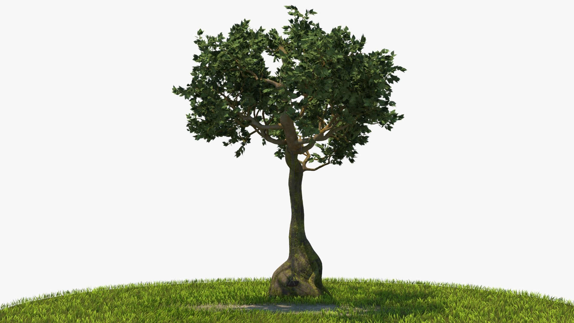 3D Tree Swing - TurboSquid 1930855