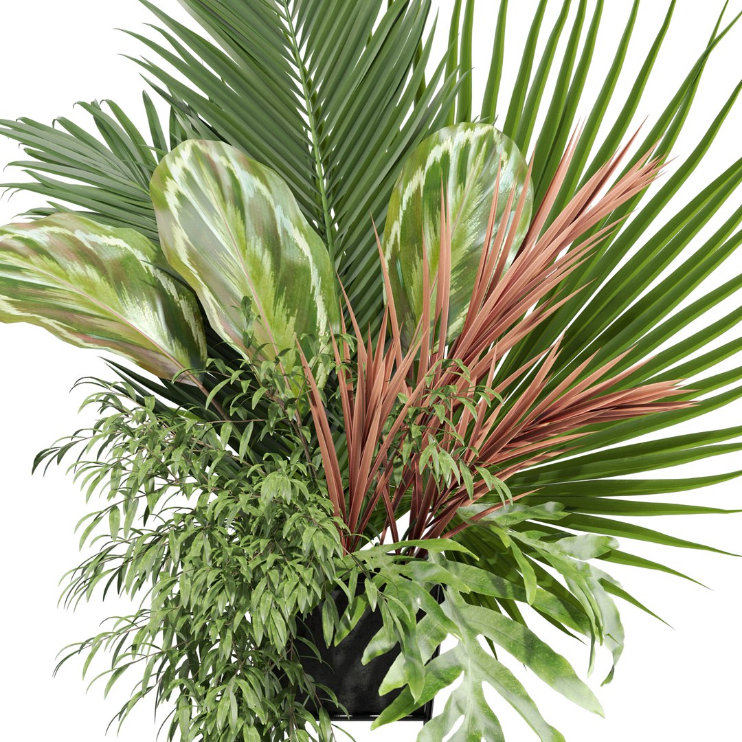 3D model Bouquet 07 https://p.turbosquid.com/ts-thumb/VZ/Rgk23x/3k/bouquet_07_021920width1920px/jpg/1645897629/1920x1080/fit_q87/8523971a2c0fa131684271ed648fae3a203dd165/bouquet_07_021920width1920px.jpg