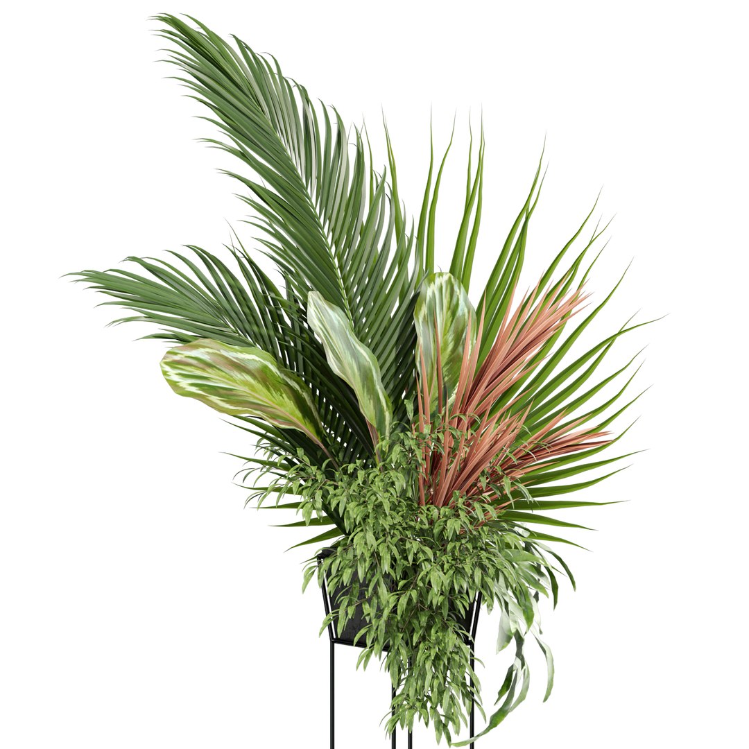 3D model Bouquet 07 https://p.turbosquid.com/ts-thumb/VZ/Rgk23x/BY/bouquet_07_031920width1920px/jpg/1645897623/1920x1080/fit_q87/9664b345ecd259b5271258abd9530719b5c86670/bouquet_07_031920width1920px.jpg